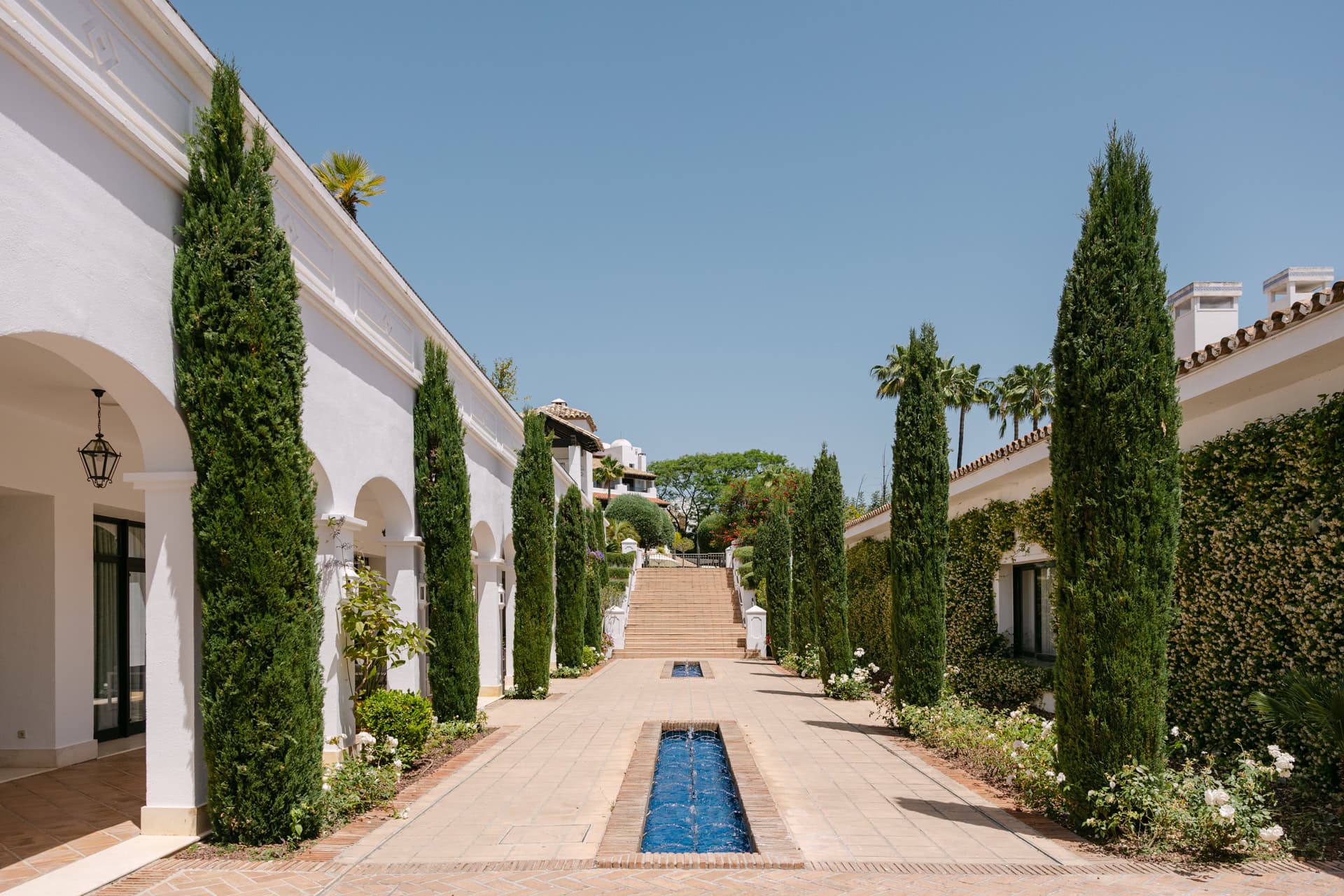 Mediterranean courtyard with cypress trees and water feature